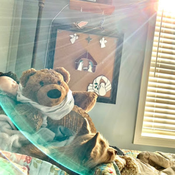 Meet your Posher, Shannon - Picture 1 of 1